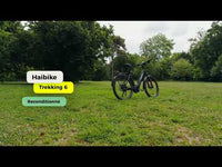 Haibike Trekking 6 Low