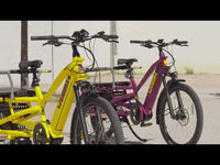 Yuba Spicy Curry Jaune Family Edition